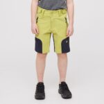 hovde-shorts-3