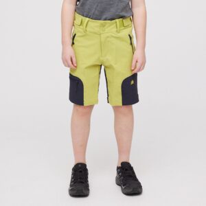 Hovde, shorts